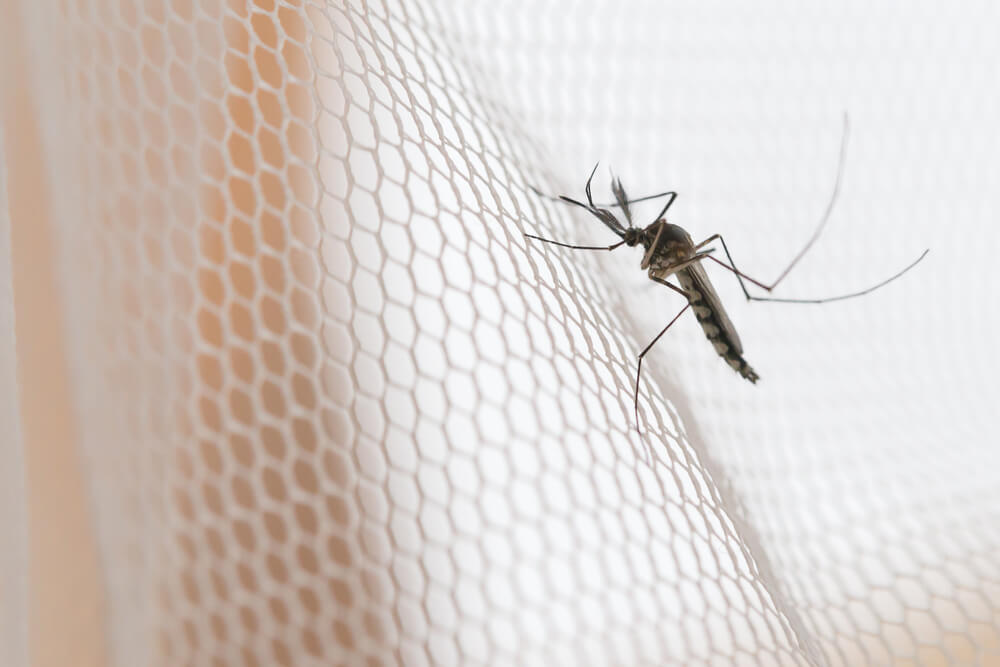 How Can Travellers Protect Themselves from Malaria