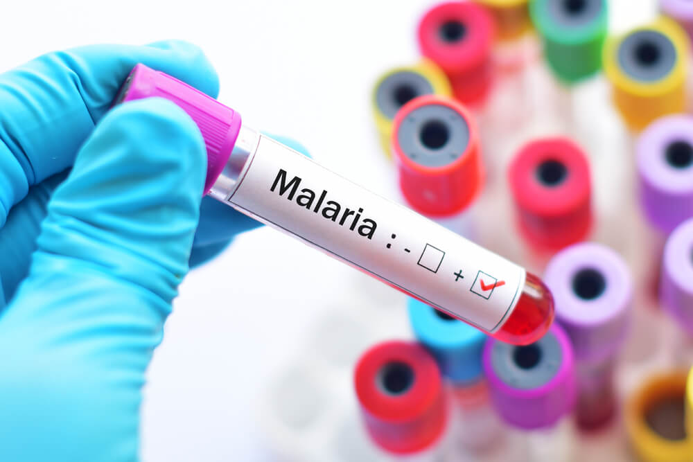 Why is it Important to Consider Malaria Risks When Planning International Travel