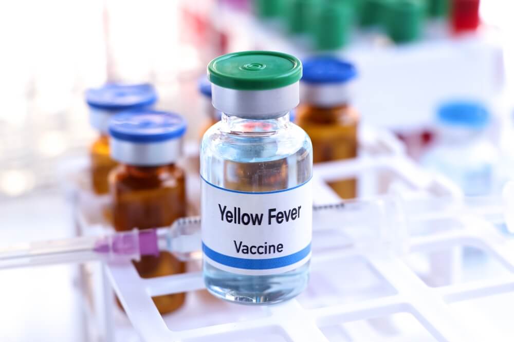 Yellow Fever Vaccination: What You Need to Know Before Travelling